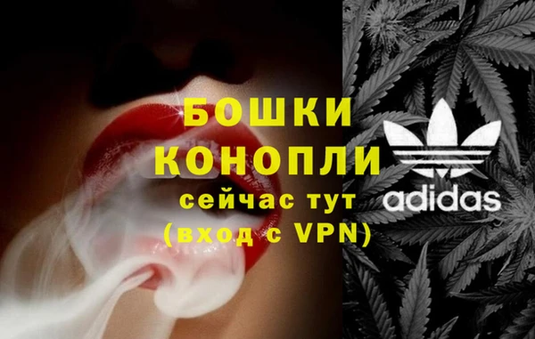 бошки Арсеньев