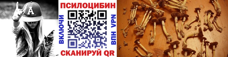 Галлюциногенные грибы MAGIC MUSHROOMS  Губаха 